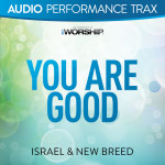 You Are Good (Audio Performance Trax)
