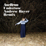 Undertow (Andrew Bayer Remix), album by Ane Brun