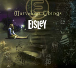 Marvelous Things, album by Eisley