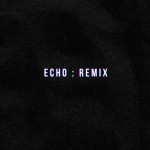 Echo (Remix)