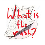 What is the rush?, album by Tina Boonstra