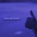 Take Me Home