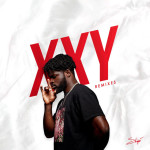 XXY (Remixes), альбом Shope