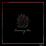 Consuming Fire, альбом Austin & Lindsey Adamec