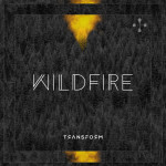 Wildfire, album by Transform