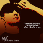 Tribalous, album by AJ Mora