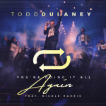You're Doing It All Again (Radio Edit) [Live] (feat. Nicole Harris), альбом Todd Dulaney