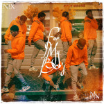 For My Bro's, album by N!x