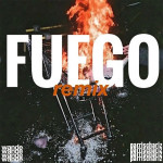 Fuego (Remix), album by Wande