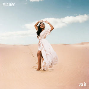 EXIT, album by Wande