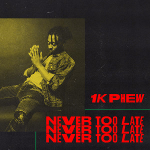 Never Too Late, album by 1K Phew