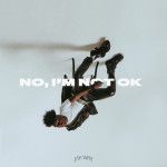 No, I'm Not Ok, album by Jay-Way
