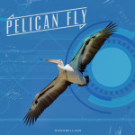 Pelican Fly