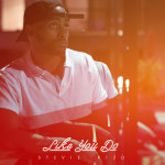 Like You Do, album by Stevie Rizo