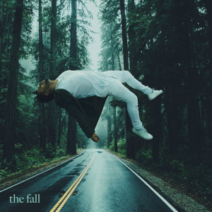The Fall, album by Joey Vantes