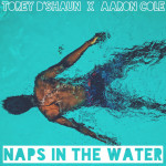 Naps in the Water, album by Torey D'Shaun