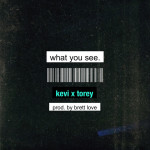 What You See, album by Torey D'Shaun