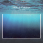 Frozen Voyage, album by Antarctic Wastelands