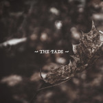 Seasons: the Fade, album by Narrow Skies
