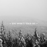 You Won't Find Me, album by Narrow Skies