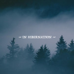 Seasons: in Hibernation, album by Narrow Skies