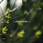 Seasons: Awakening, альбом Narrow Skies
