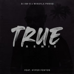 True (Remix) [feat. Hyper Fenton], album by Dj Em D