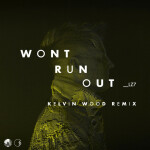 Won't Run Out (Kelvin Wood Remix), album by LZ7