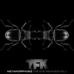 Metamorphosiz: The End (Remixes, Vol. 1)