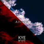 A Forest, album by Kye Kye