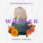 Expressions II: Wonder, album by Ginny Owens