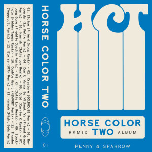 Horse Color Two, album by Penny and Sparrow