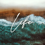 Life, альбом Simon Wester