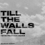 Till The Walls Fall (Neon Feather Remix), album by Neon Feather