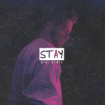 Stay (Remix) [feat. Eris Ford], album by Quinten Coblentz