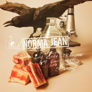 Birds And Microscopes And Bottles Of Elixirs And Raw Steak And A Bunch Of Songs, альбом Norma Jean