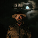 Into the Wild (Radio Version), album by Josh Baldwin