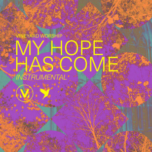 My Hope Has Come (Instrumental)
