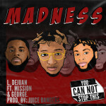 Madness, album by L. Dejuan