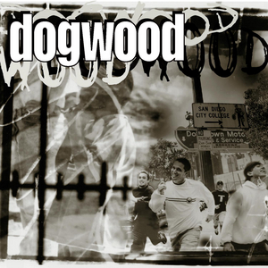 More Than Conquerors, альбом Dogwood