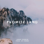 Promise Land, album by James Gardin