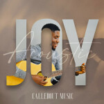 Joy (Acoustic), альбом CalledOut Music