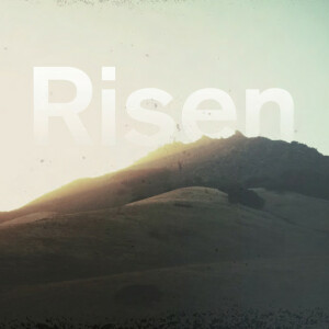 Risen, album by Sovereign Grace Music