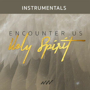 Encounter Us Holy Spirit (Instrumental), album by New Wine