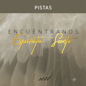 Encuentranos Espíritu Santo (Instrumental), альбом New Wine