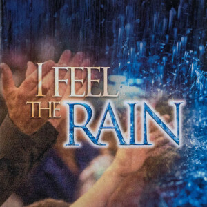 I Feel the Rain (Live)