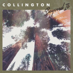 Beyond It, album by Collington