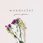 Wonderful, album by Jamie Grace