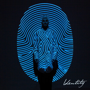 Identity (Deluxe Edition), album by Colton Dixon