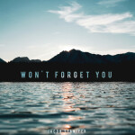 Won't Forget You, album by Jacob Stanifer